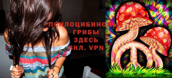 мяу мяу мука Каменногорск